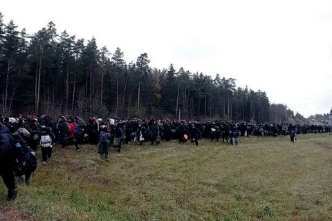 Что происходит на границе польши и беларуси