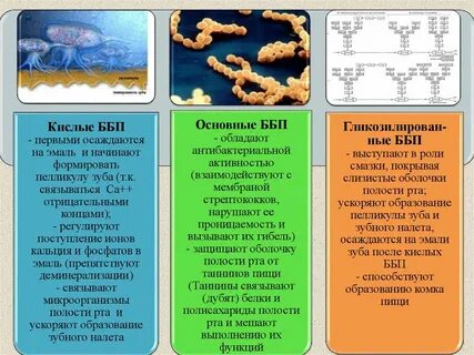 Белки полости рта