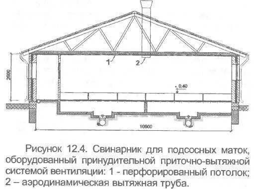 Свинарник размеры. Свинарник маточник чертеж. схема построения свинарник. мини свинарник на 10 голов проект чертежи. схема освещения свинарника маточника.