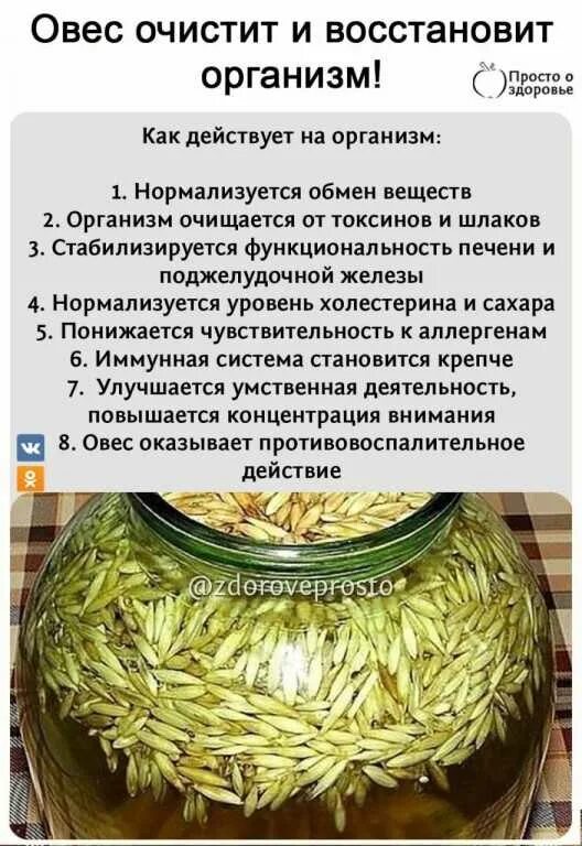 Польза овса для печени. Отвар овса. Овес для отваров и настоев. Настой из овса для похудения. Как правильно заваривать овес.