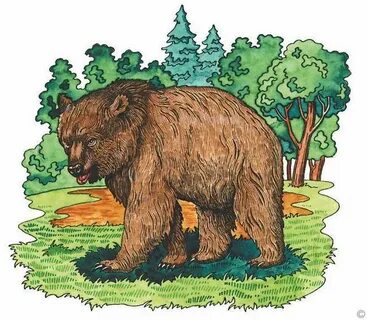 Товарищ медведь