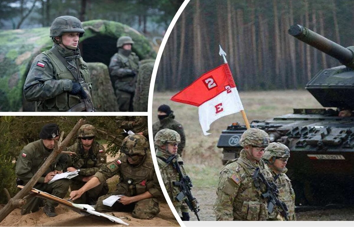 Вооружение армии Польши 2020. Польская армия учения. Польские войска. Армия Польши 2021.