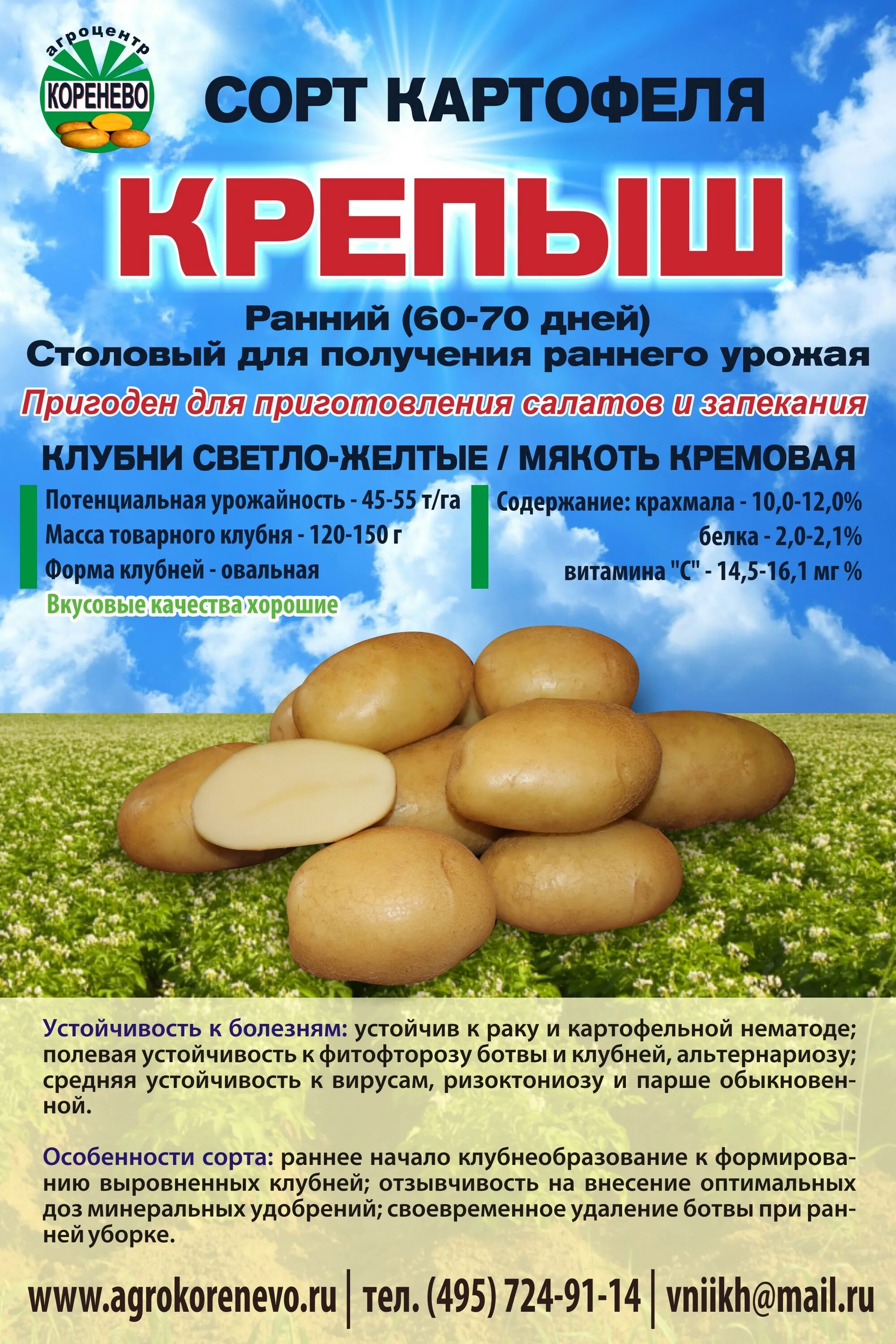 Картофель удача описание сорта отзывы. Картофель семенной вымпел. сорт картошки вымпел. супер старт элита картофель. картофель сорт вымпел описание сорта.