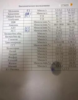 Креатин расшифровка