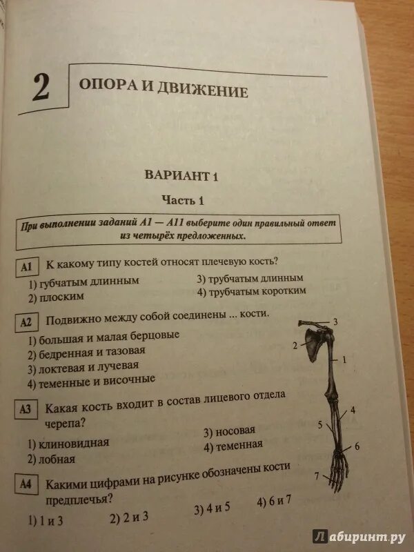 Егэ биология 8 задание. Тест по биологии опора и движение. Тесты по биологии ЕГЭ. Тестовые задания ГИА. ЕГЭ биология тесты.