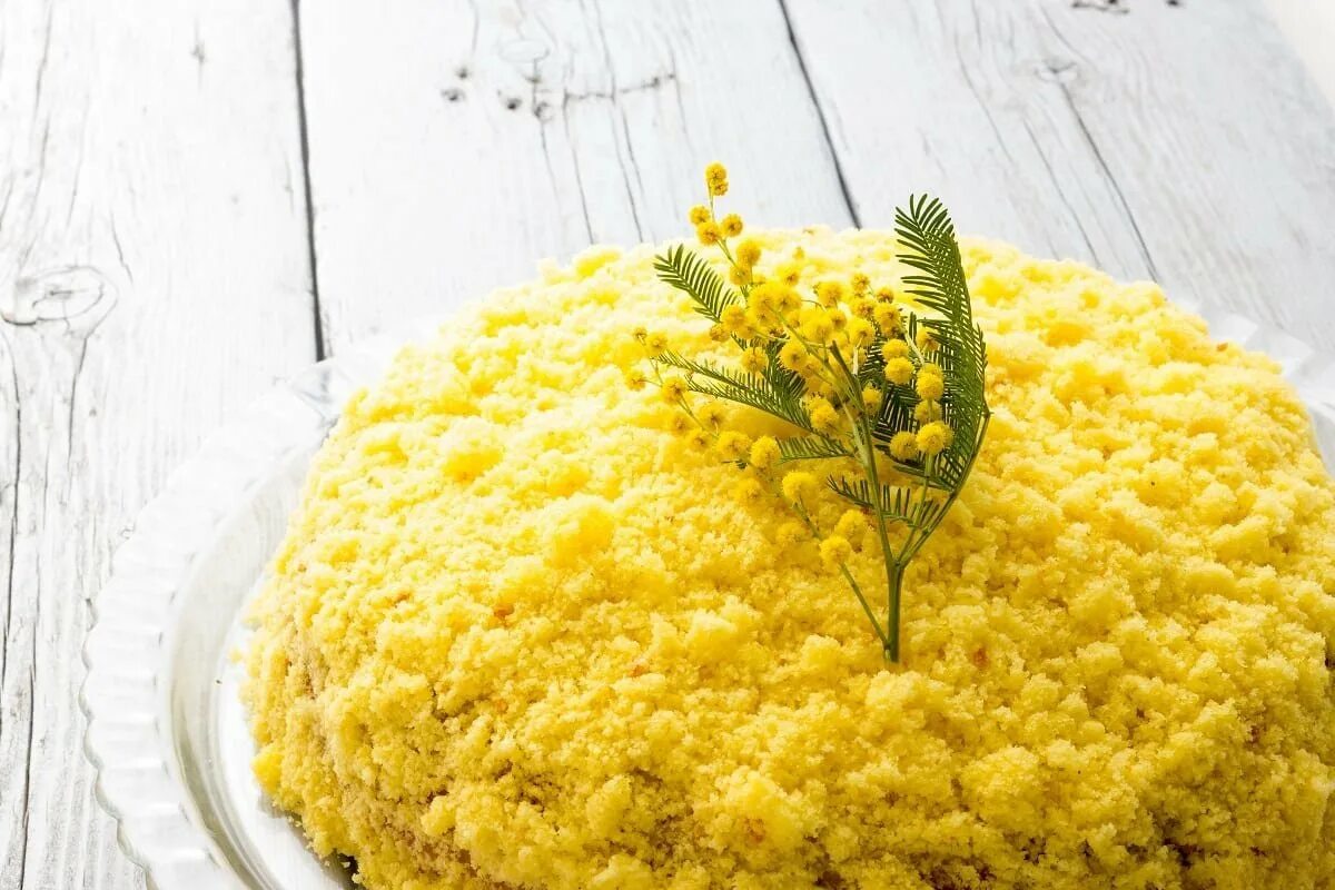 Долго ли стоит мимоза в воде. Mimosa cake. торт мимоза. мимоза обычная. мимоза сахарная.
