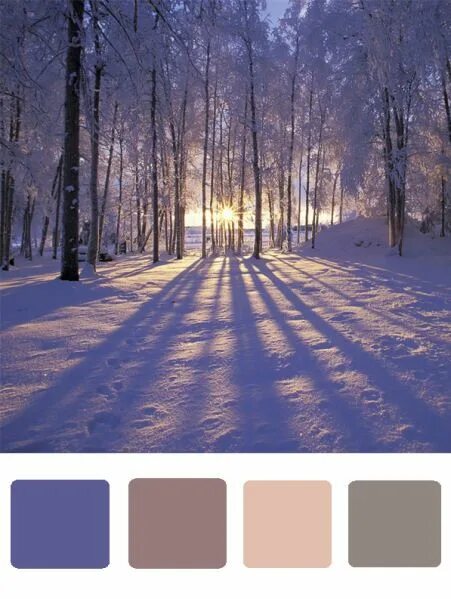 Color Palette #1136 Color palette, Red colour palette, Winter color palette