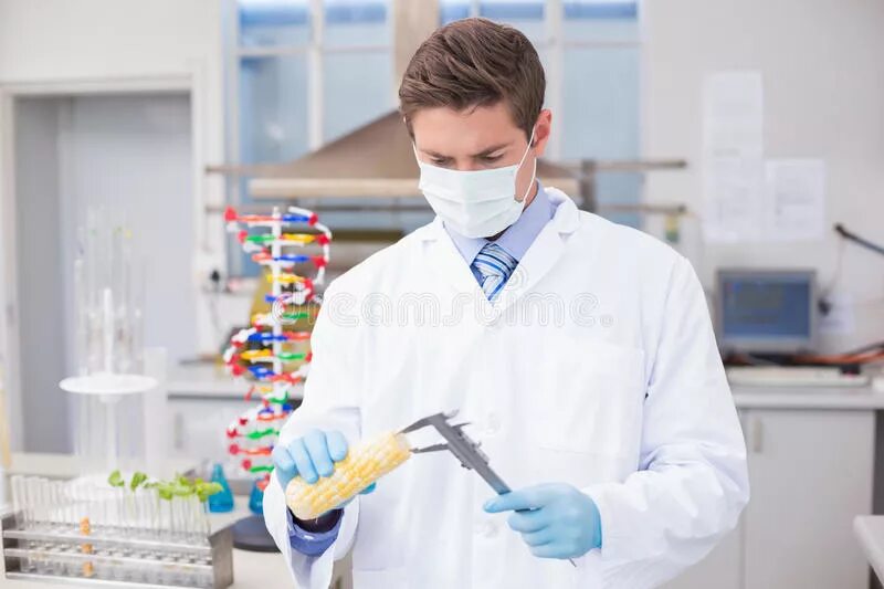 Научные ученые. Ученые исследователи. Лабораторная диагностика. Ученые замерли. Про ученых за рубежом.