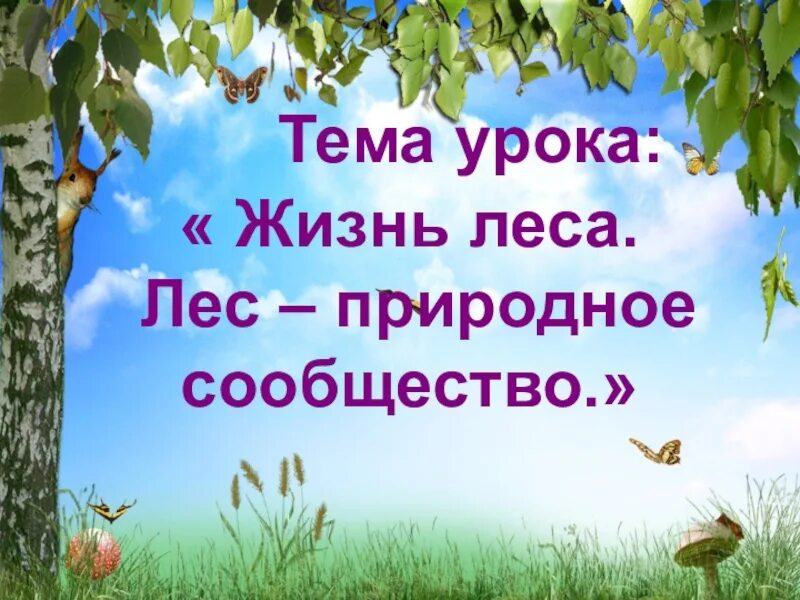 Проектная работа по окружающему миру. Проект по окружающему миру 4 класс путешествуем без опасности. Формы урока по изо в 1 классе. Проект 4 класс окр. Путешествуем без опасности.