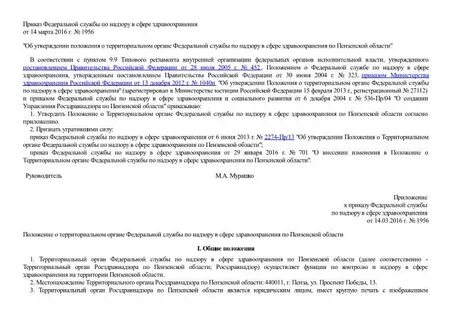 Положение о территориальном органе