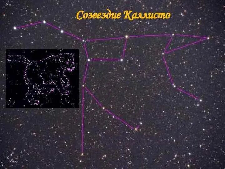 Зевс превратил в медведицу. Созвездие каллисто. медведица каллисто каллисто созвездие. зевс и каллисто и созвездие большой медведицы. калисто большая медведи.
