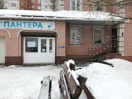 Валявкина 13 архангельск пантера