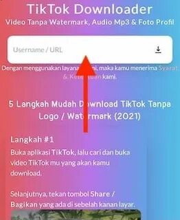Tiktok user