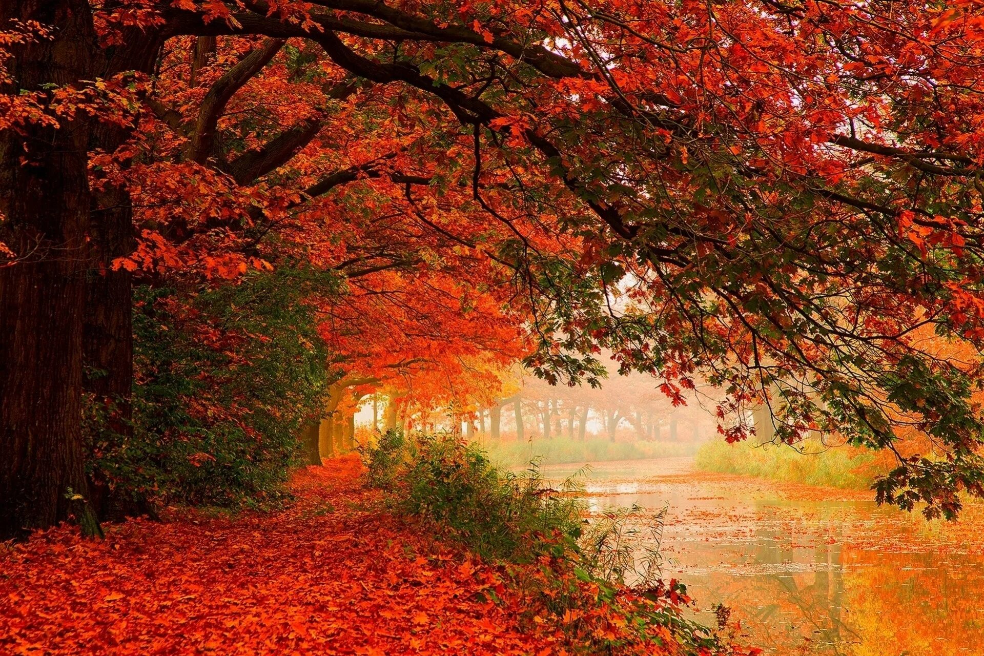 Природа осень. Красивая осень. Яркая осень. Осень фото красивые. Осенью очень красиво