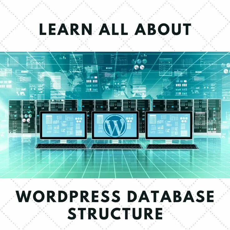 Database 2025