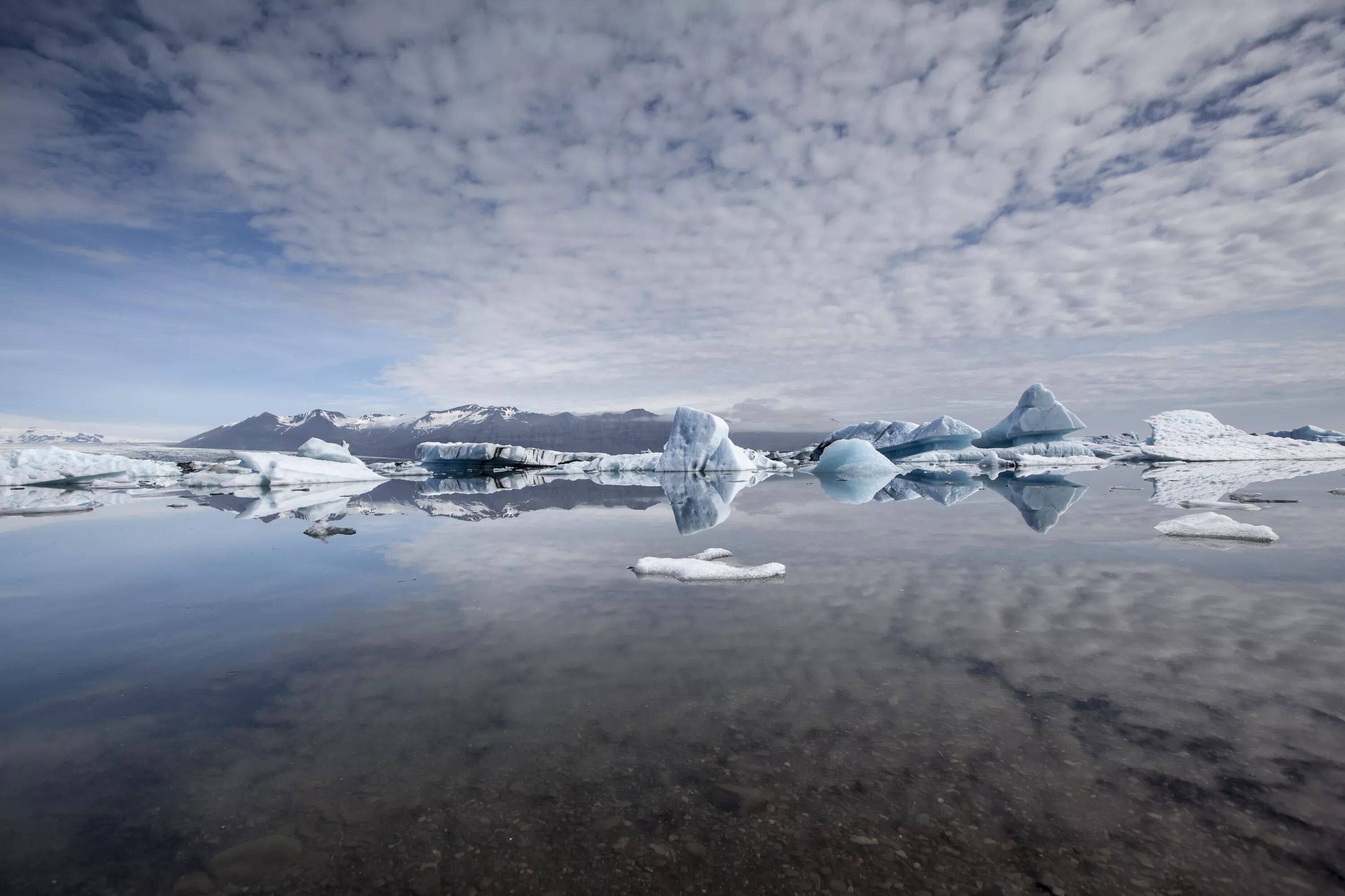 Скажи зачем мне облака лед 3. Арктика Северный Ледовитый океан. Фьорд Илулиссат Гренландия. Арктика тундра Ледяная пустыня Гренландия. Ледниковый Фьорд Илулиссат (Гренландия).