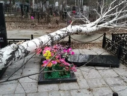 Могилы упали