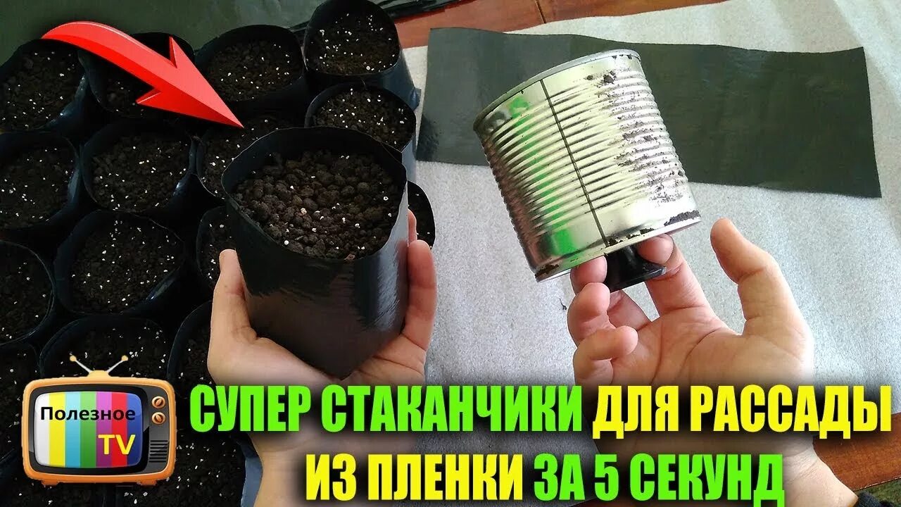 Купить пакет из пленки для рассады. Стаканы для рассады. Стаканчик для рассады из полиэтилена. Стаканчики из пакетов для рассады. Стаканчики для рассады из пленки.