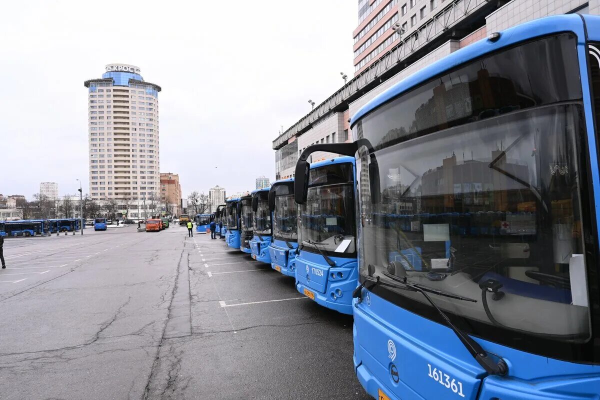 Мосгортранс москва электробус. Шереметьево ночные автобус н1. Схема ночных автобусов москва. 3 н маршрут. Ночные маршруты автобусов в москве схема.