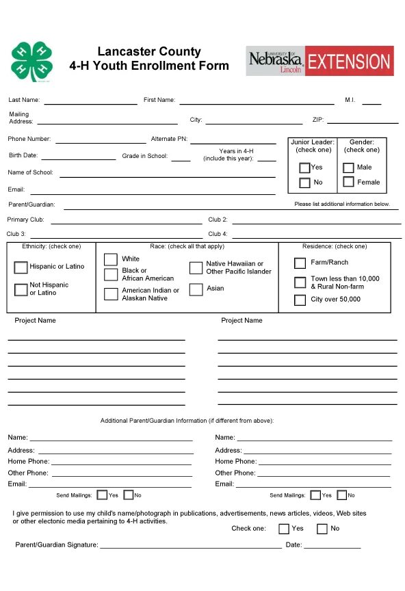 Iv form. Iv form