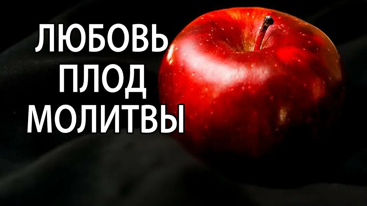 Плод молитвы. Свт феофан затворник изречения. Молитва пресвятой богородице о сохранении беременности. Молчание в христианстве. Молитва о сохранении ребенка.