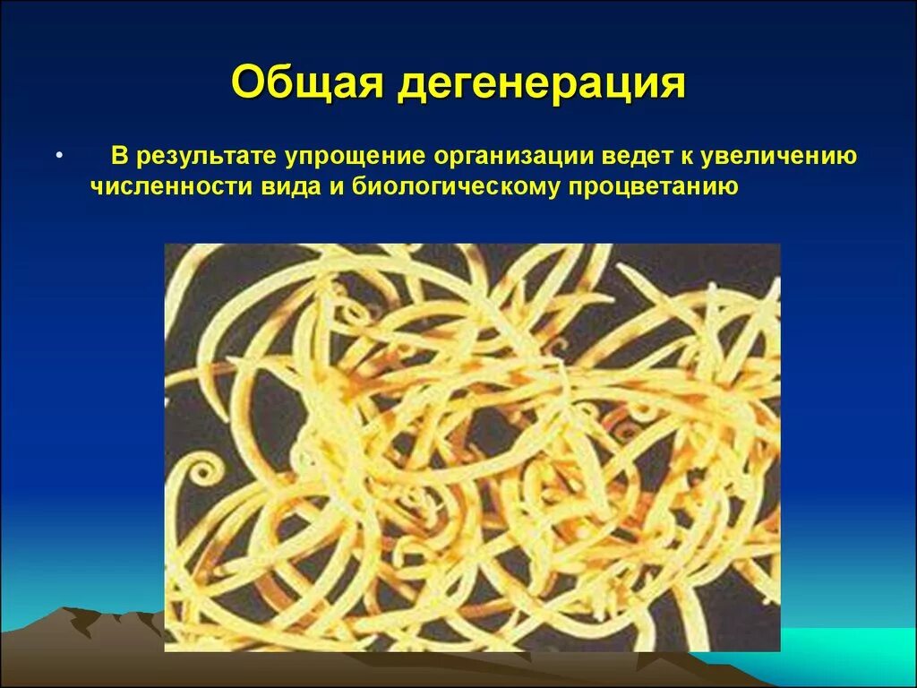 Примерами дегенерации являются. Общая дегенерация. Эволюция общая дегенерация. Общая дегенерация примеры у животных. Выявление дегенерации у животных и растений.