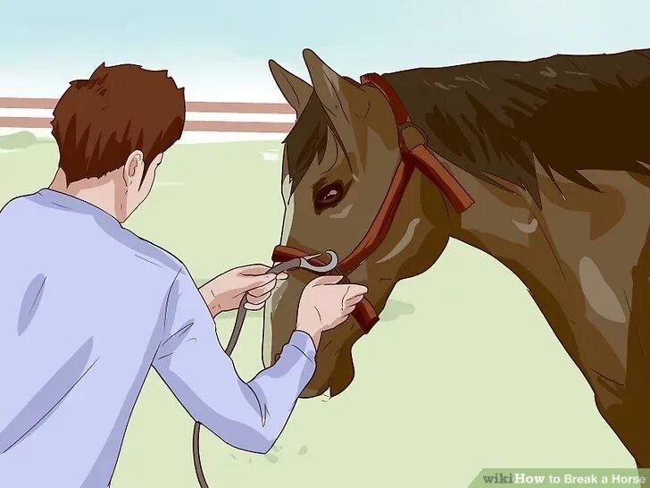 Quiet horse. Лошадь на привязи рисунок. How to Break a Horse. Breaking quite with Horse. Be quiet Horse.