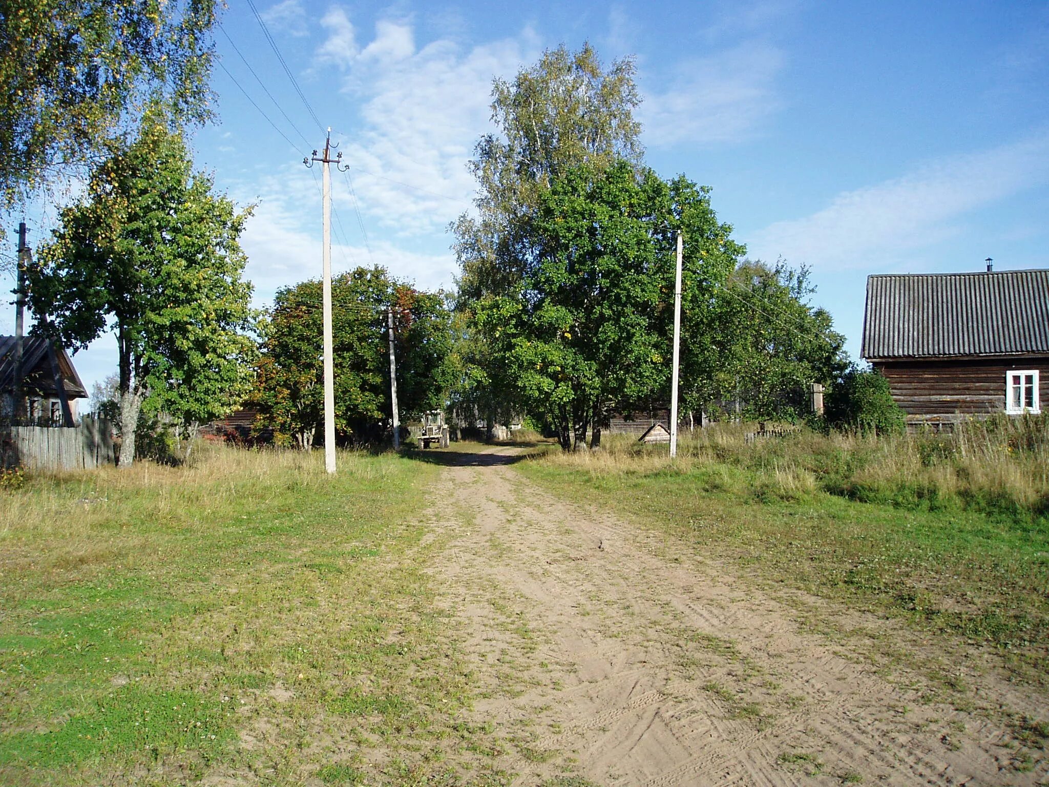 Новгородская область парфинский район деревня. Васильевщина Новгородская область. Деревня Росино Парфинский район. Д Васильевщина Новгородской области. Полавское сельское Парфинского района.