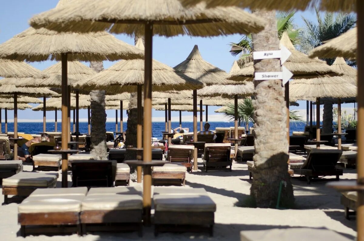 Seagull beach hurghada 4. Сигал Бич Резорт 4 Хургада. Seagull Beach Resort 4 Хургада. Seagull Premium Resort Хургада. Seagull Premium Хургада.