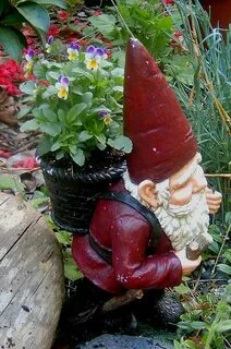 Gnomes work