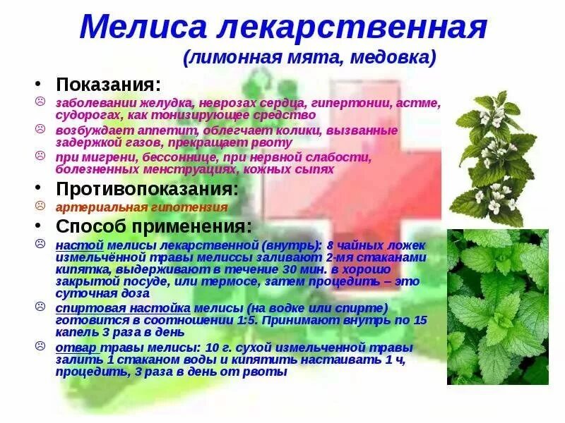 Полезные лечебные растения. Лечебные растения характеристики. Использование лекарственных растений. Полезные свойства лекарственных растений. Какими полезными свойствами обладают