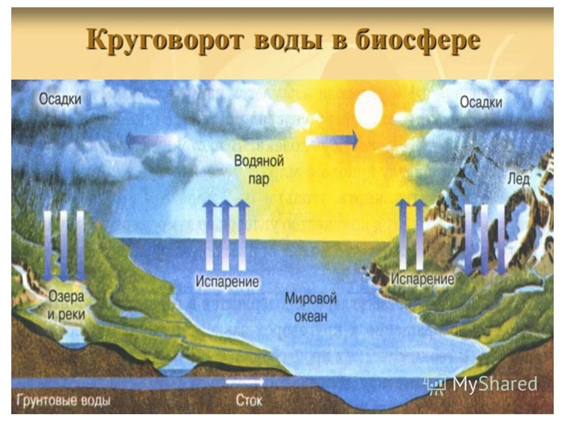 Круговорот реки. Полный цикл круговорота воды в биосфере. Круговорот воды в биосфере биология 9 класс. Круговорот воды в биосфере схема 11 класс. Нарисуйте схему круговорота воды в биосфере.