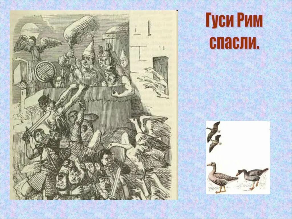 Как гуси спасли рим кратко 5 класс. Гуси спасли Рим. Раскраска как гуси Рим спасли. Легенда о гусях которые спасли Рим. Легенда как гуси спасли Рим.