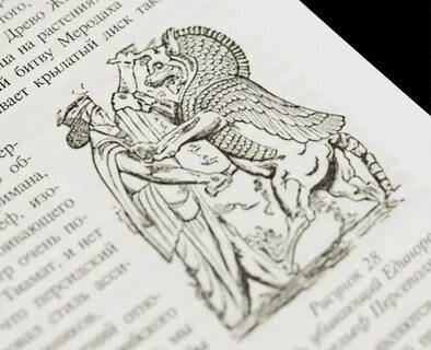 История зол
