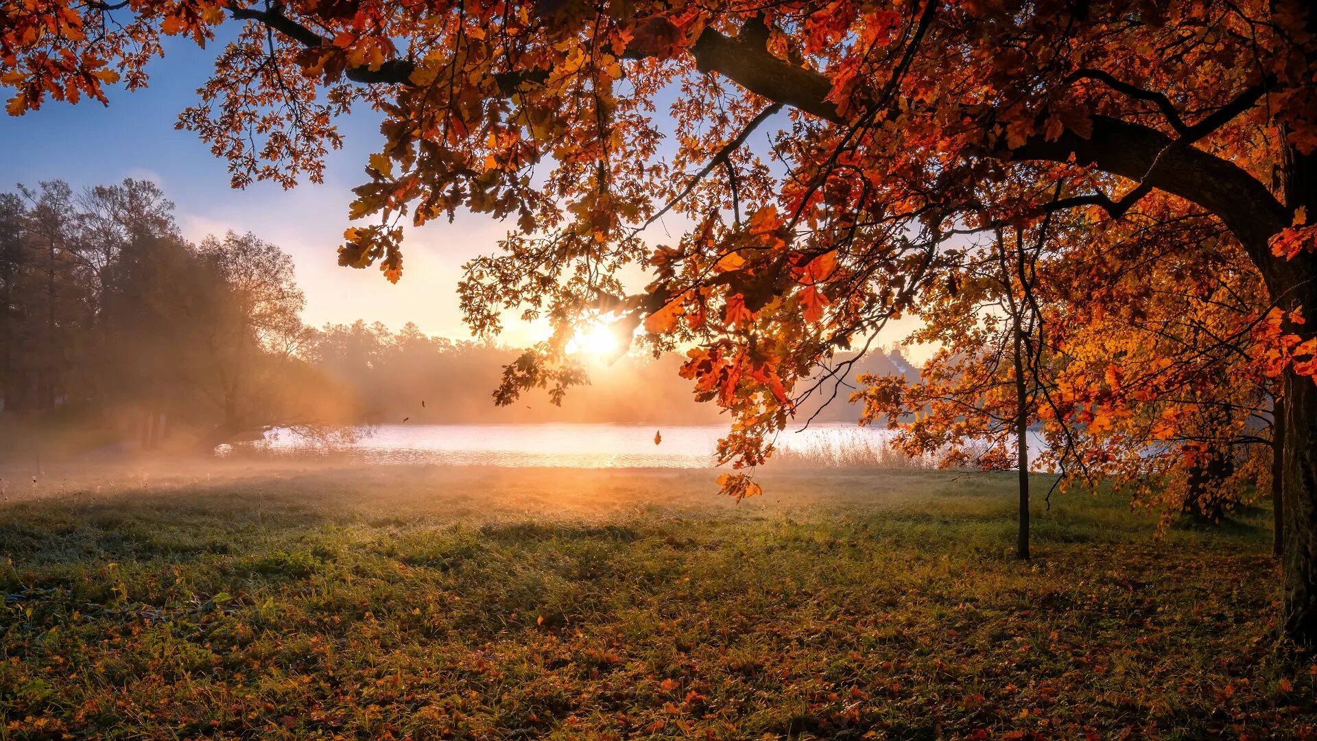 Осеннее утро картинки красивые. Осень прозрачное утро. Осень глазами фотографа. Осенний день. Прекрасного осеннего дня.