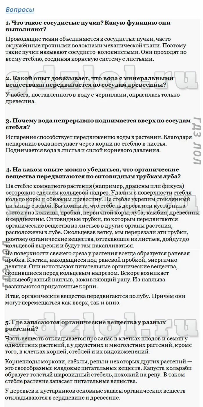 Что такое сосудистые пучки какую функцию они. Что такое сосудистые пучки какую функцию они выполняют. Что такое сосудистые пучки какую функцию они выполняют 6 класс. 1.Что такое сосудистые пучки какую функцию они выполняют. Вопросы по биологии 6 класс что такое сосудистые пучки ?.