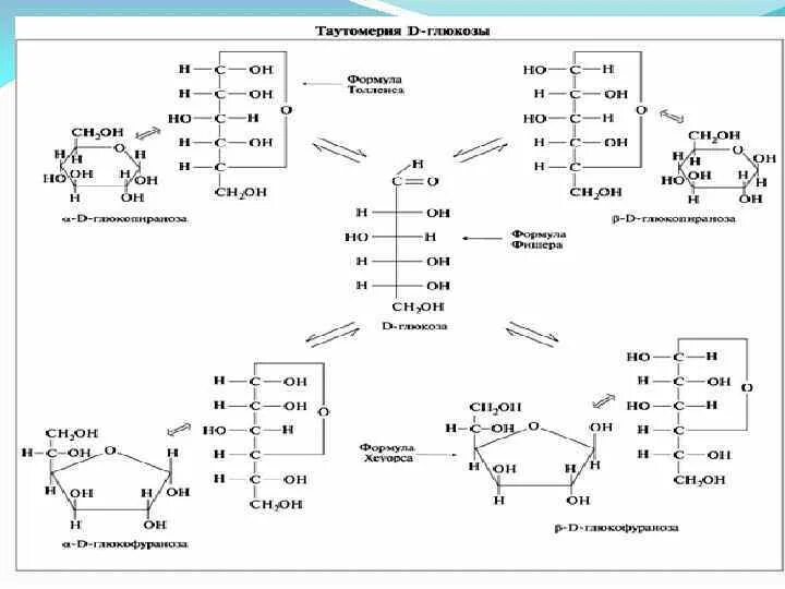 Таутомерия Глюкозы. Таутомерия моносахаридов. Таутомерия d-Глюкозы. Таутомерные формы д галактозы.