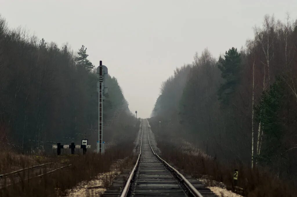 Д. Жд станция первушино. Первушино костромская область. Пилотажная группа из первушино башкортостан. Д.