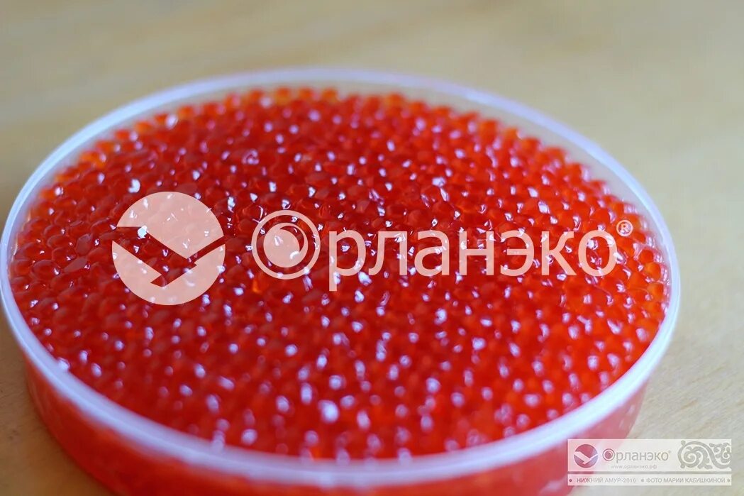 омега 3 красная икра. икра кета салмоника. магазин красная икра омега. омега 3 красная икра. магазин красная икра омега.