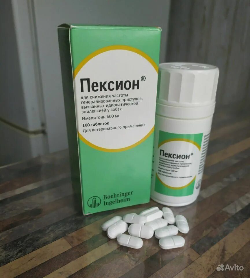 Эпилепсия у собак лечение препараты. Лекарства от припадков эпилепсии у собак. Таблетки от эпилепсии для собак. Эпилепсия у собак лечение препараты. Лекарства при эпилепсии у собак.