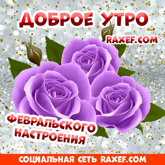 Доброе февральское утро 2024. С добрым февральским утром. Открытки с добрым февральским утром. Открытки с февральским приветом. Доброе утро с февральским днем.