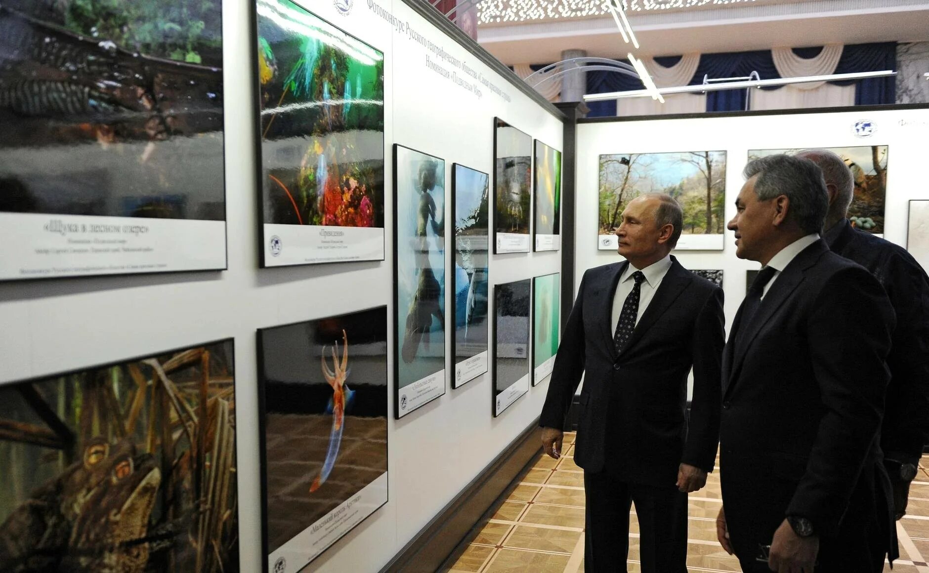 Фотовыставки. Выставка рго. Выставка географического общества. Выставки географического общества. Выставка рго.