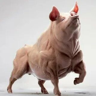 Накаченная свинья