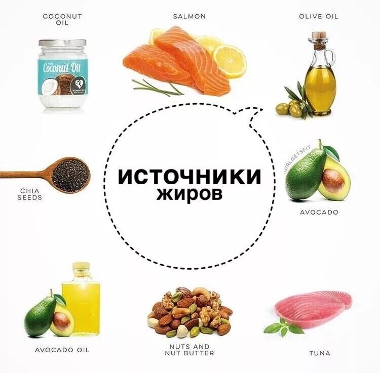 Откуда жир. Источники жиров. источники жиров в продуктах. полезные жиры. жиры в продуктах.