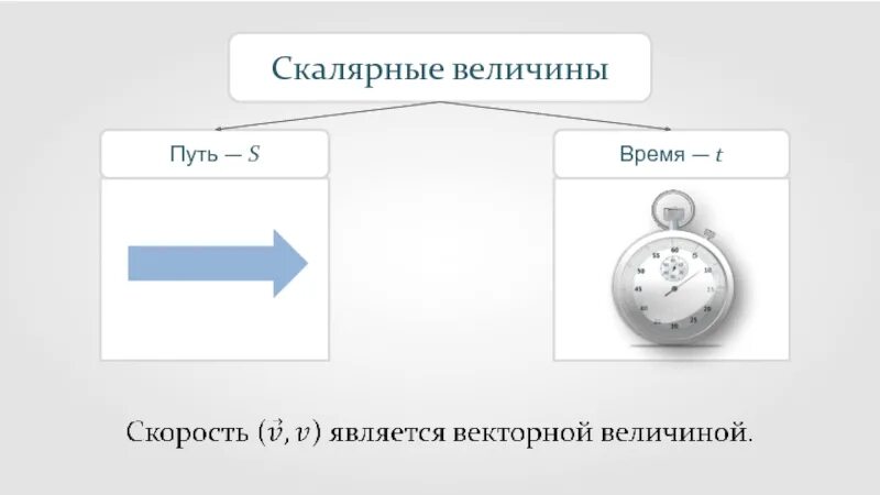 Скалярная скорость. Скалярные величины путь и время. Путь это скалярная величина. Средняя скалярная скорость.