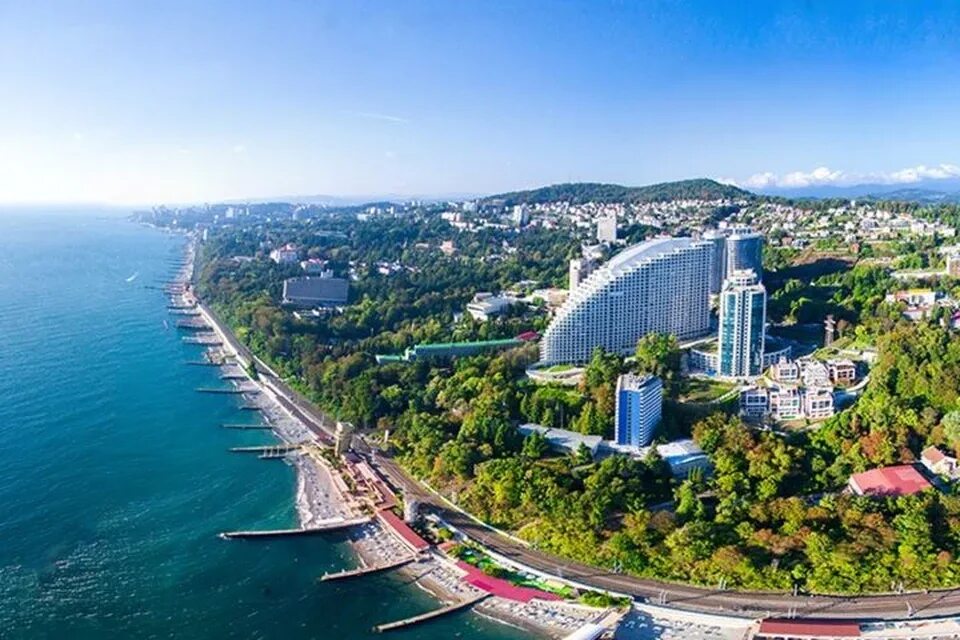 Sochi org. Sochi org