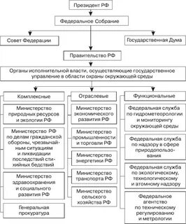 Структура государственного экологического управления