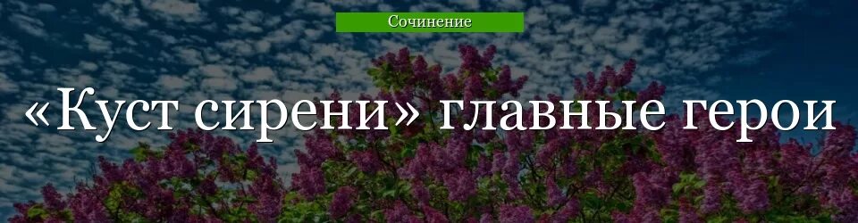 Куст сирени краткое содержание для итогового. Куст сирени Куприн. Куст сирени главные герои. Куприн сирень. Герои рассказа куст сирени.