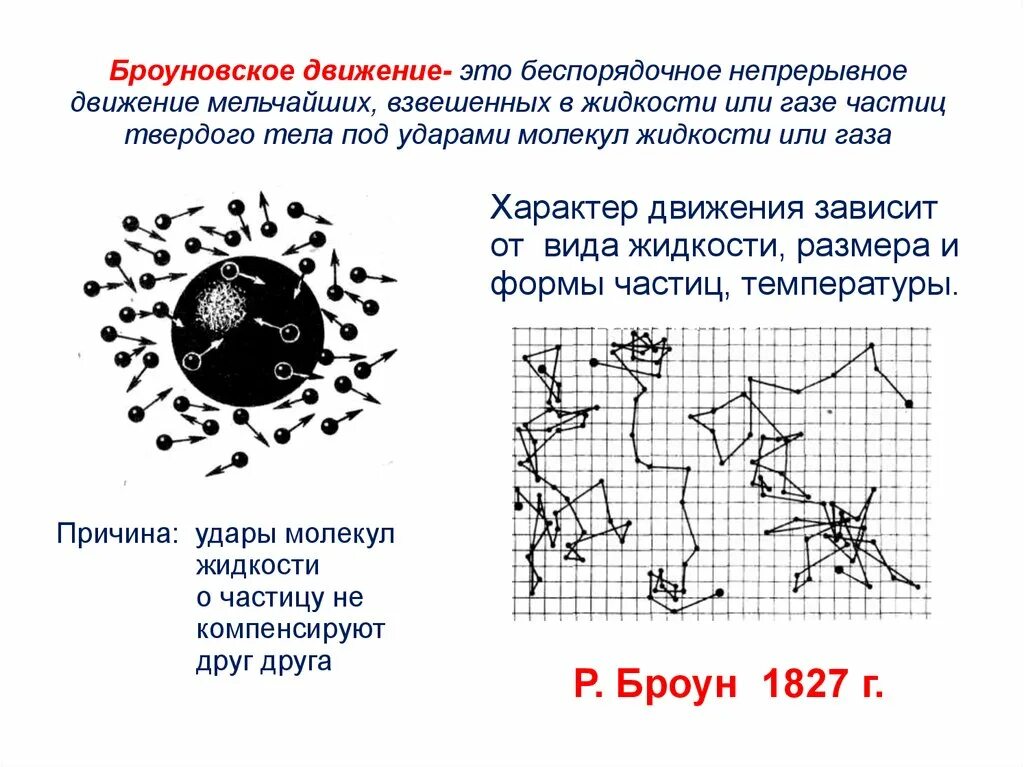 3 броуновское движение. Характер движения броуновских частиц. Броуновское движение. Броуновское движение частиц. Броуновское движение схема.