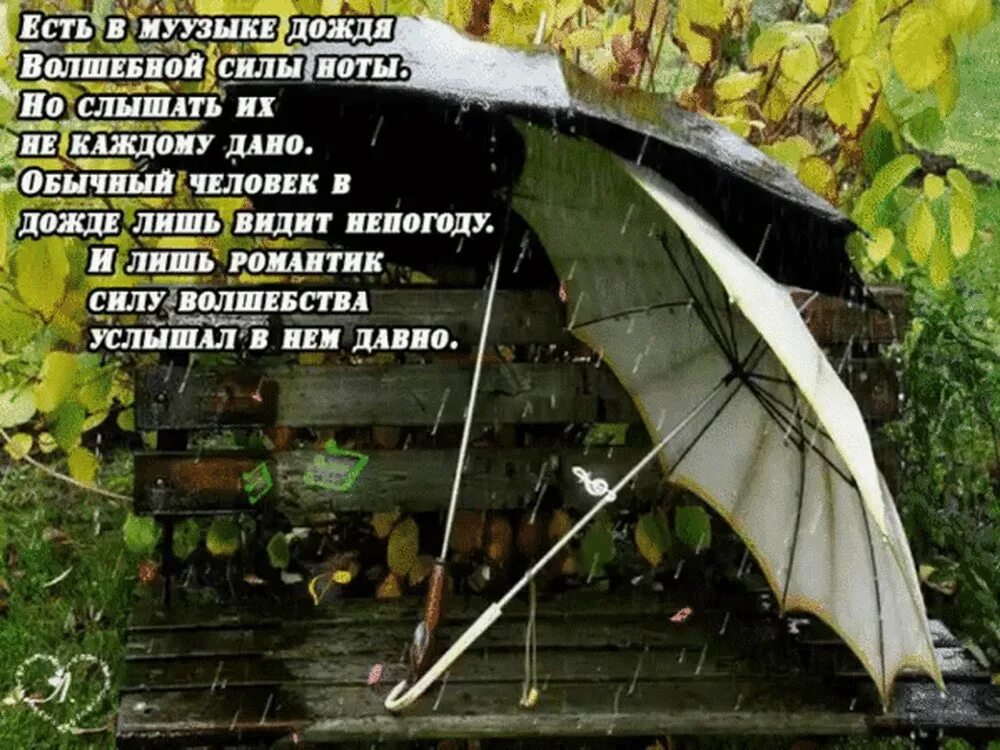 Осенняя погода стихотворение. Дожди: стихи. Летний дождь стихи. Стихи о Дожде красивые. Высказывания про дождь.